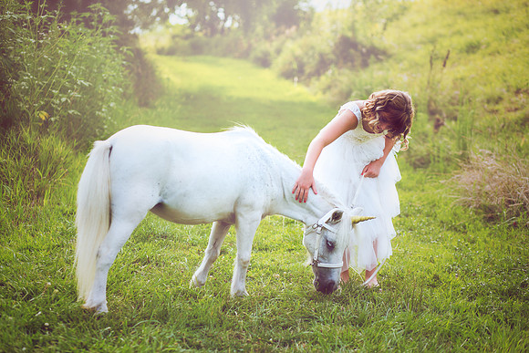 Unicorn-22