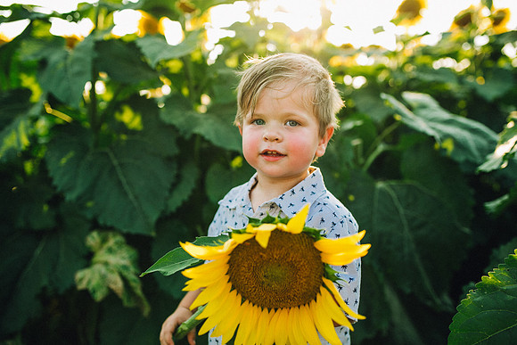 Sunflowers-209