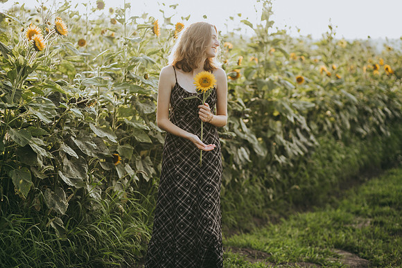 Sunflowers 2021-61