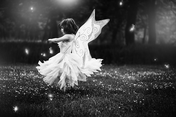 xFairy 2019-2