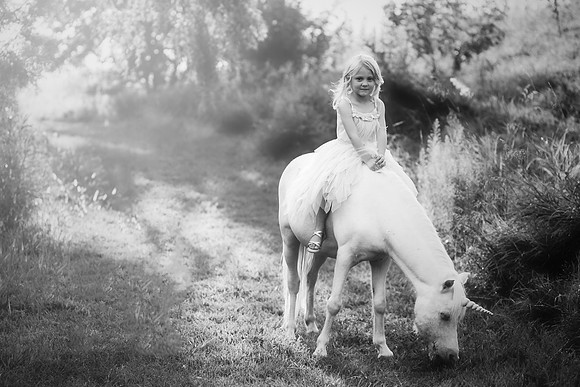 xUnicorn-25