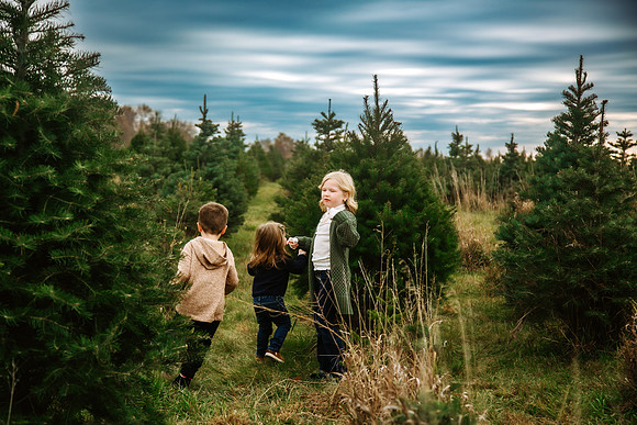 Tree Farm 2024-32