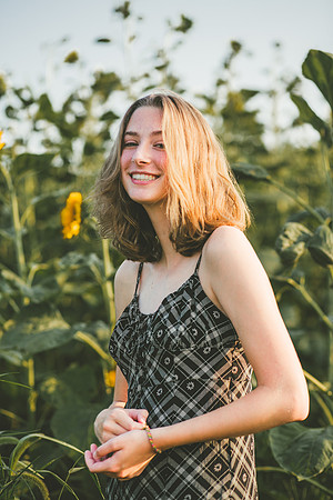 Sunflowers 2021-24