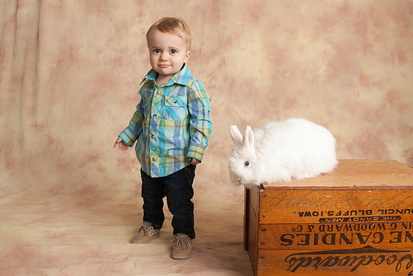 Bunny-2016-39