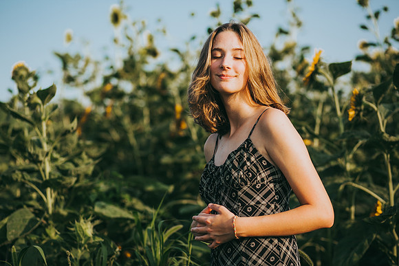 Sunflowers 2021-26