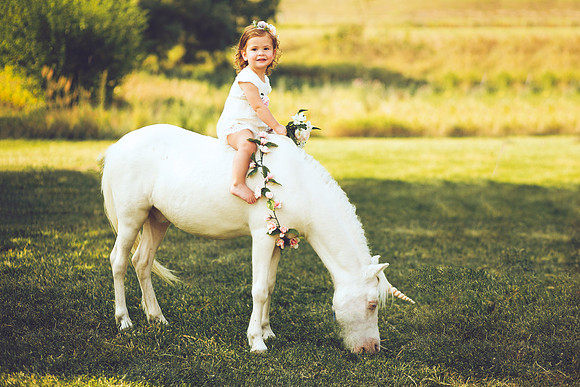 Unicorn-23