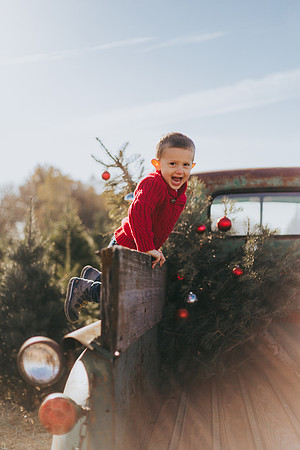 Tree Farm-70