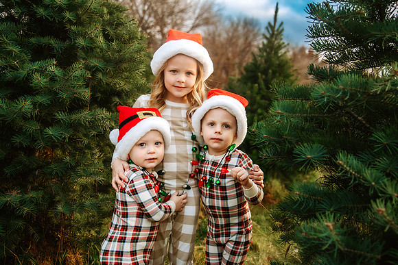 Tree Farm 2024-28