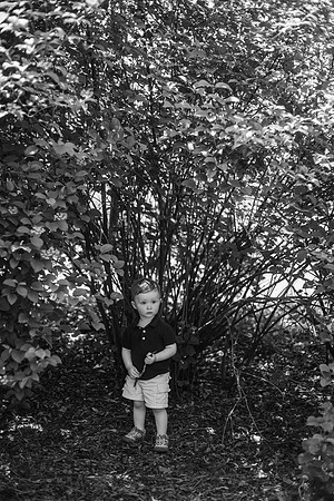 Daddy & I 2018 BW-303