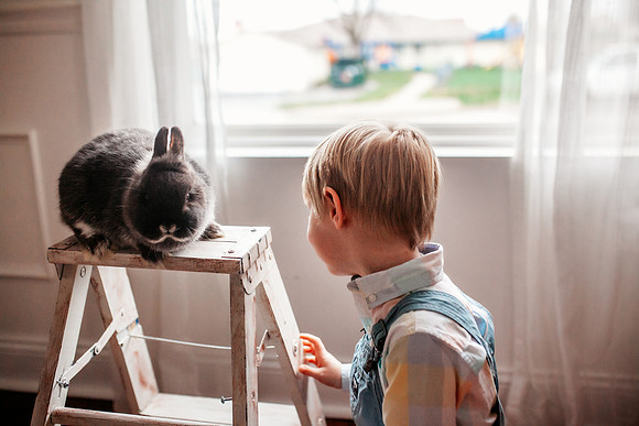 Bunny 2025-27