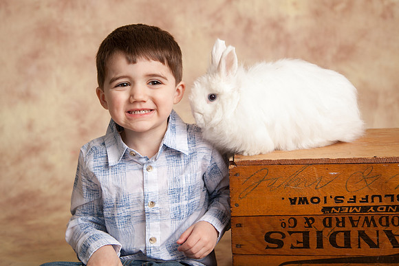 Bunny-2016-26