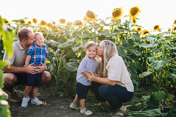 Sunflowers-28