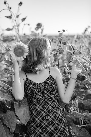 xSunflowers 2021-64