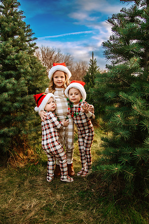 Tree Farm 2024-25