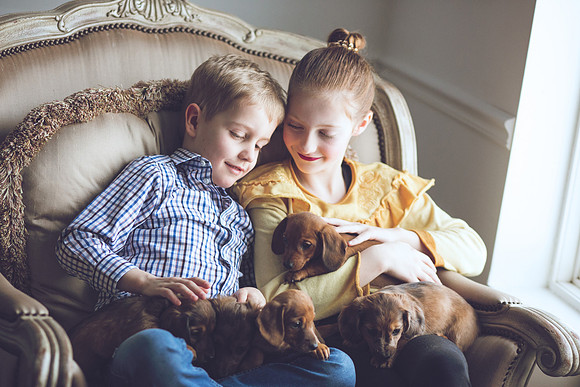 Puppies_-29