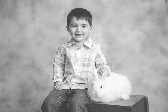 Bunny-2016-71
