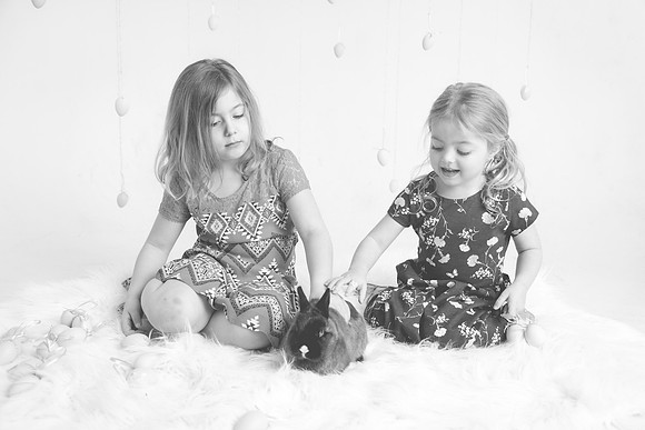 Bunny-2016-56