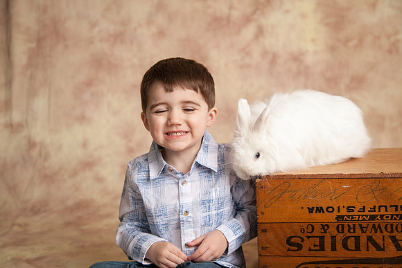 Bunny-2016-25
