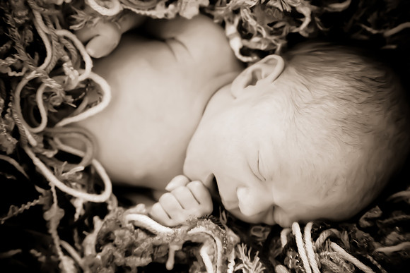 Slyvi Newborn-35