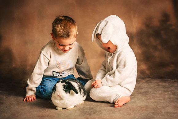 Bunny 2025-50