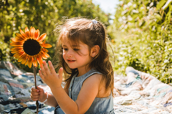 Sunflowers-45