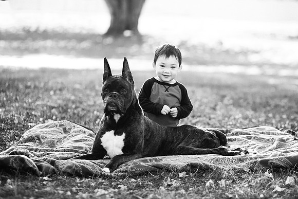 xPuppies 2020-9