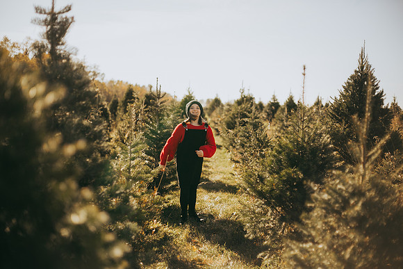 Tree Farm-34