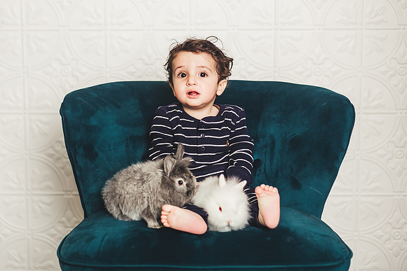Bunnies-42