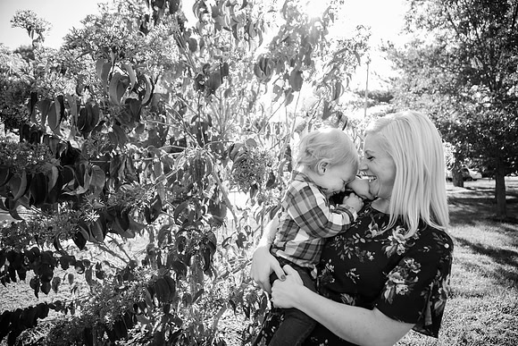 Family 2017-234