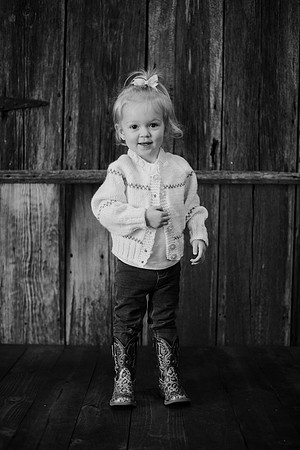 Sawyer 2yr (16 of 74)-2