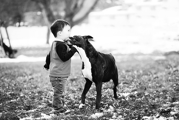xPuppies 2020-26