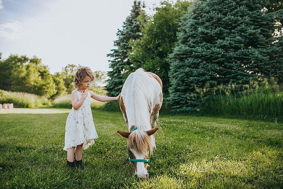 Pony 2021