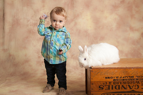 Bunny-2016-38