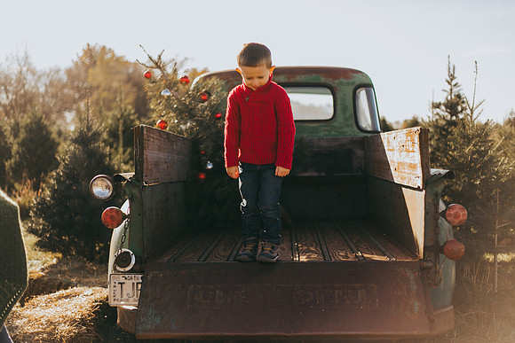 Tree Farm-44