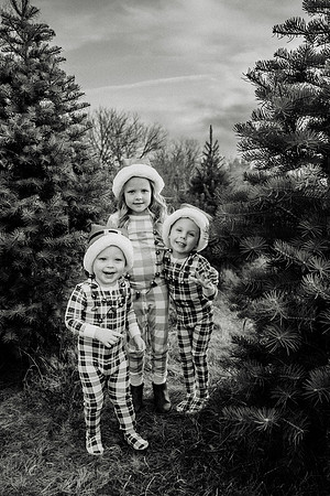 xTree Farm 2024-33