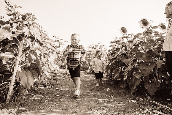 xSunflowers-43
