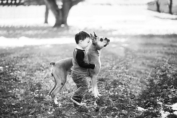 xPuppies 2020-17
