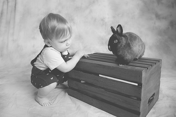 Toby-Bunny-2016-57