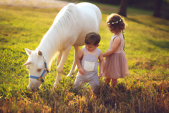 Unicorn-27