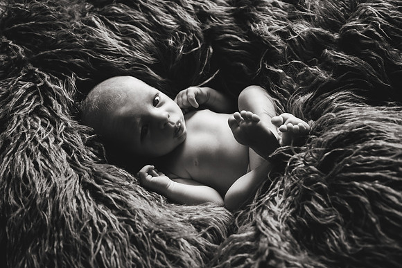 Wyatt NB-35b&w