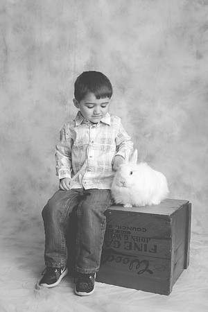 Bunny-2016-74