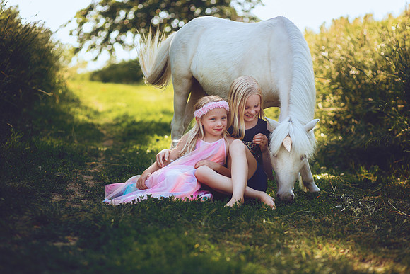 Unicorn-25