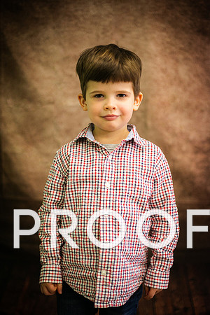 Will Halperin-2