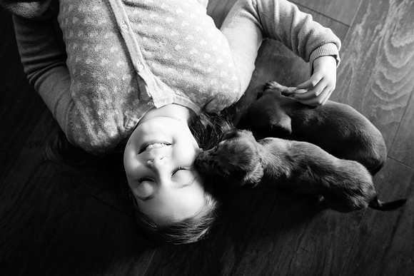 Puppies_-63