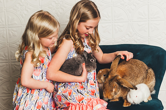 Bunnies-77