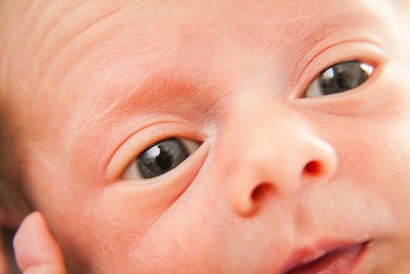 Cora Lynn Newborn-60