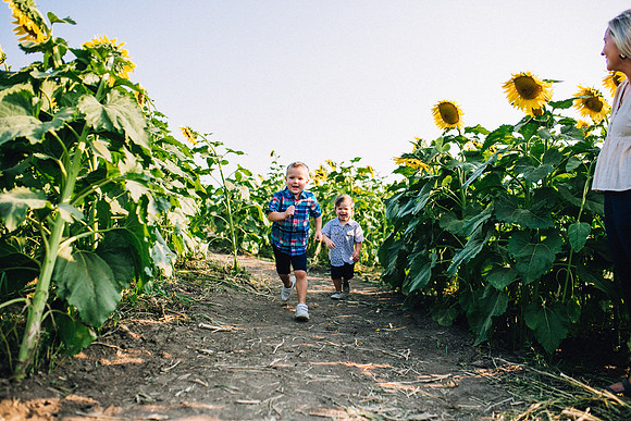 Sunflowers-40