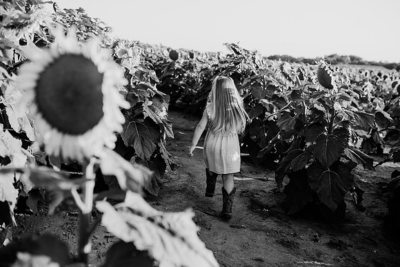 xSunflower 2022-92