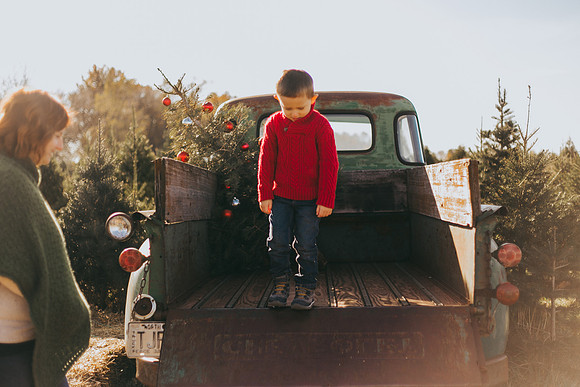 Tree Farm-45