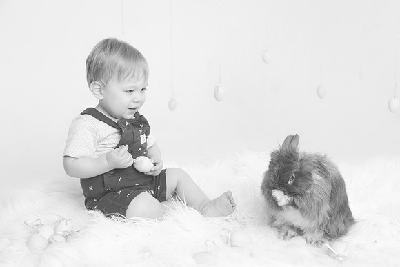 Toby-Bunny-2016-49